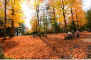 Photo: Piseco Lake Campground