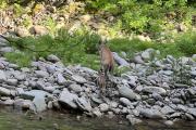 Photo: WOODLAND VALLEY