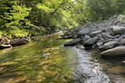 Photo: WOODLAND VALLEY