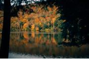 Photo: LITTLE POND CAMPGROUND