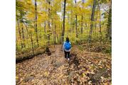Photo: WILMINGTON NOTCH