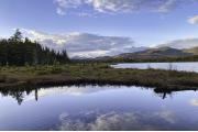 Photo: LAKE HARRIS CAMPGROUND