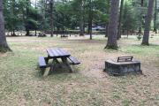 Photo: 018, Main Area & Shower Loop