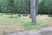 Photo: 018, Main Area & Shower Loop