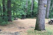 Photo: 027B, Main Area & Shower Loop