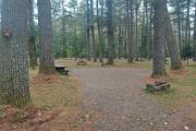 Photo: 036, Main Area & Shower Loop