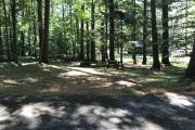 Photo: 040, Main Area & Shower Loop