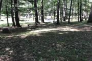 Photo: 040, Main Area & Shower Loop