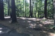 Photo: 043, Main Area & Shower Loop
