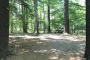 Photo: 043, Main Area & Shower Loop