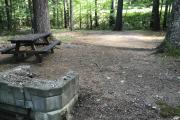 Photo: 043, Main Area & Shower Loop
