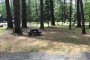 Photo: 045, Main Area & Island Portion