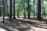 Photo: 059, Main Area & Island Portion