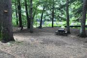 Photo: 134, Sites 120-144 Berry Patch