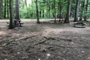Photo: 134, Sites 120-144 Berry Patch
