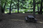 Photo: 134, Sites 120-144 Berry Patch