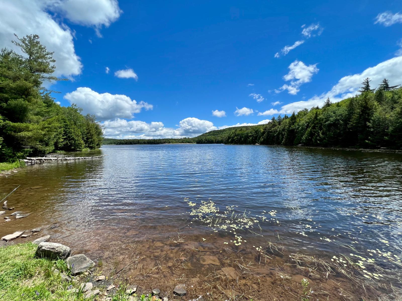 Home - Sadie's of New Mexico, image size:1600x1200