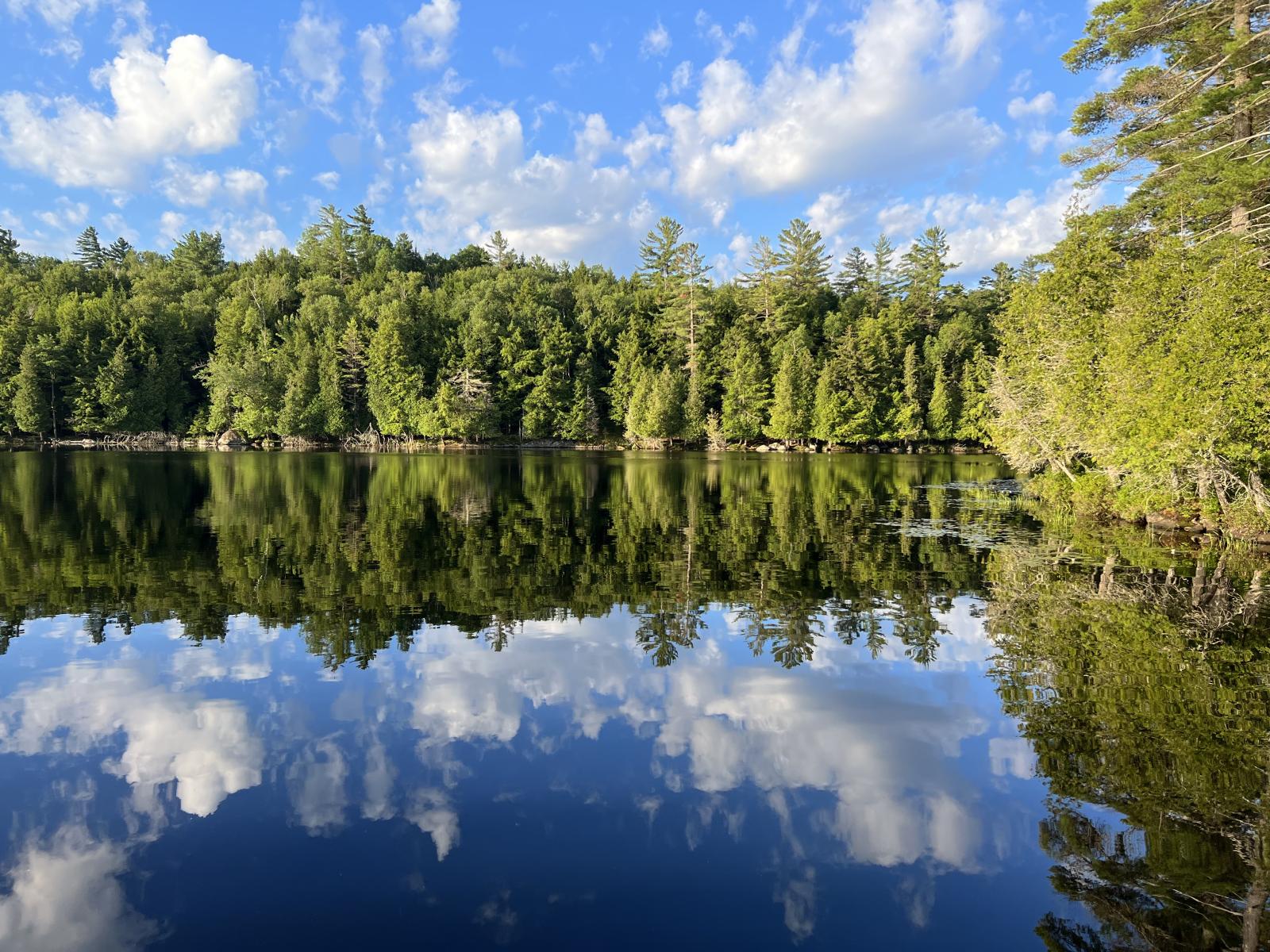 Saranac Lake Islands Campground - Campsite #74 — from the gallery