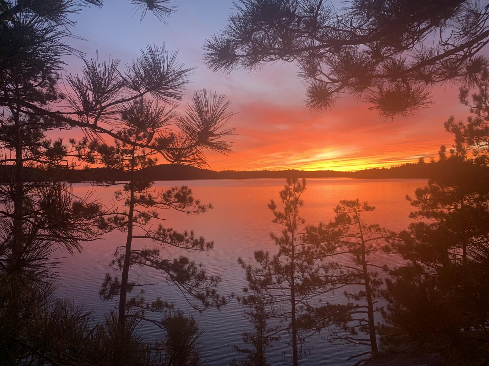 Saranac Lake Islands Campground - Campsite #74 — from the gallery